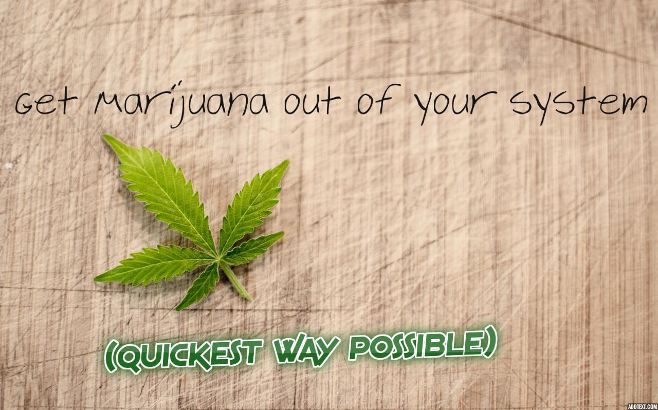 How long Does Pot Stay In Your System